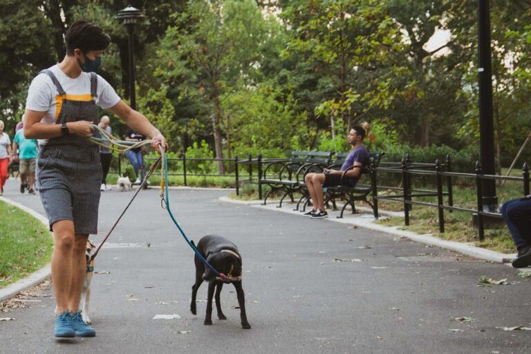 Dog Walker