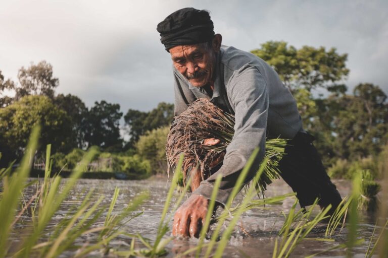 Farmer