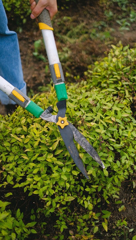 Groundskeeper