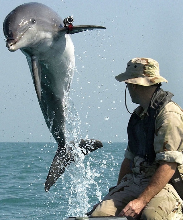 Marine Biologist