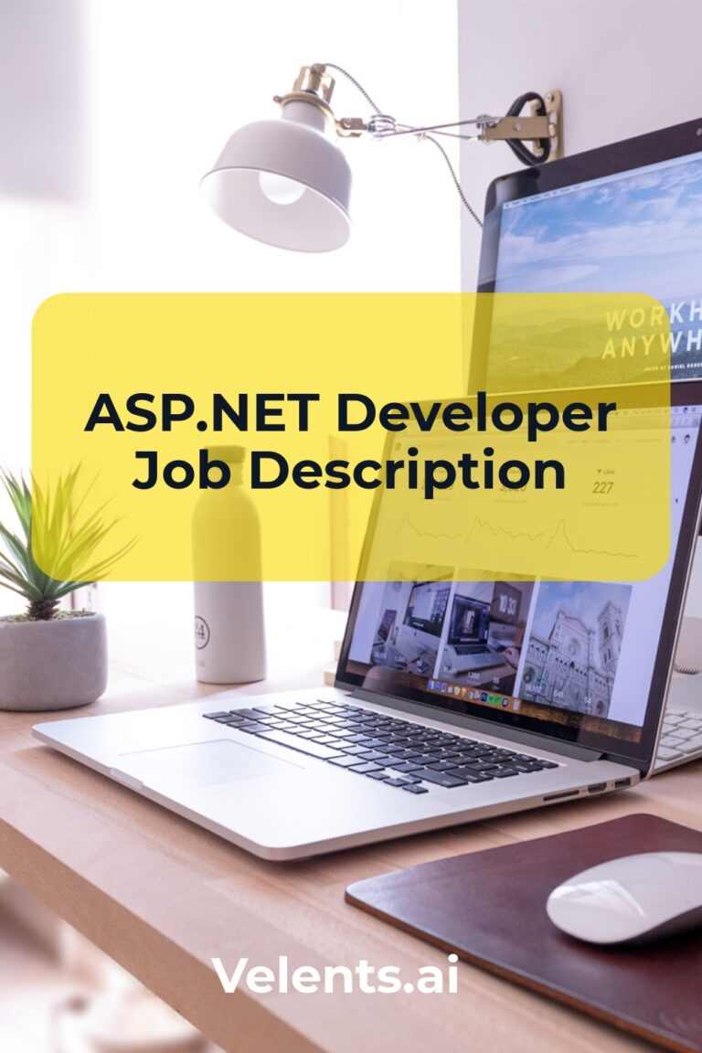 ASP.NET Developer